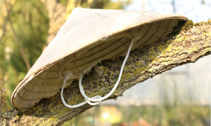 Chapeau de jardin japonais