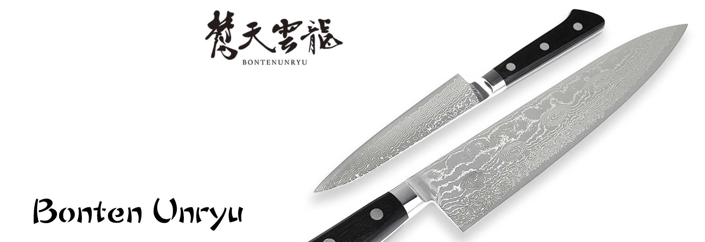 couteaux japonais ryusen bonten unryu